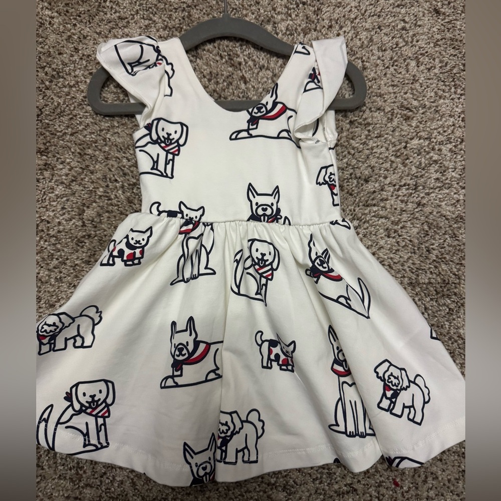 Monica and Andy doggie dress